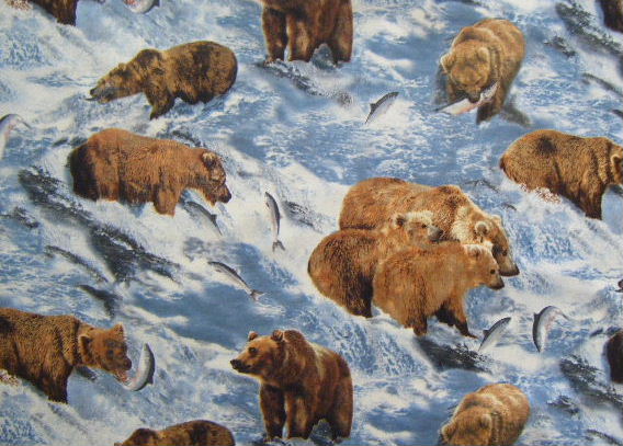 Big Brown Grizzly Bears Catching Fish in the Rapids - Click Image to Close